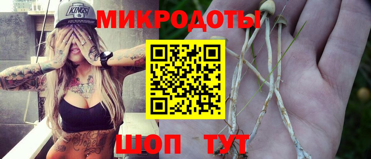 Галлюциногенные грибы GOLDEN TEACHER  Вход с VPN  Электрогорск 